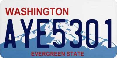 WA license plate AYE5301