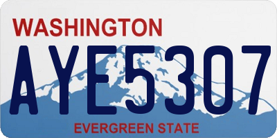 WA license plate AYE5307