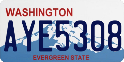 WA license plate AYE5308