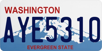 WA license plate AYE5310