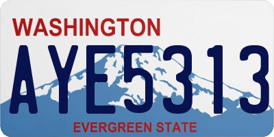 WA license plate AYE5313
