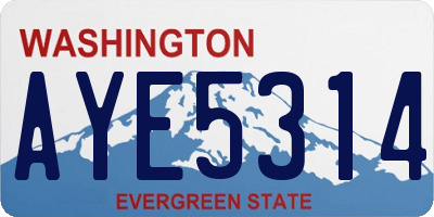 WA license plate AYE5314