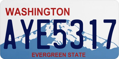 WA license plate AYE5317