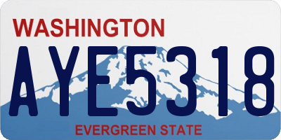WA license plate AYE5318