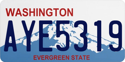 WA license plate AYE5319