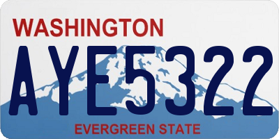 WA license plate AYE5322