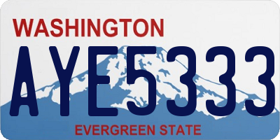 WA license plate AYE5333