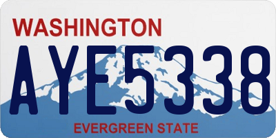 WA license plate AYE5338