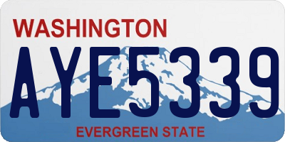 WA license plate AYE5339