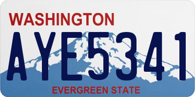 WA license plate AYE5341