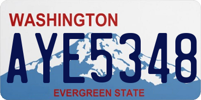 WA license plate AYE5348