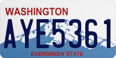 WA license plate AYE5361