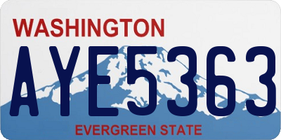 WA license plate AYE5363