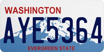 WA license plate AYE5364