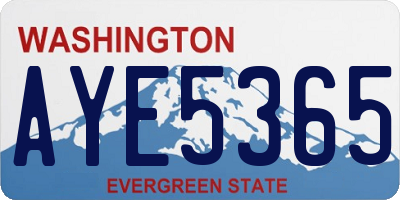 WA license plate AYE5365