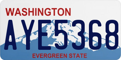 WA license plate AYE5368