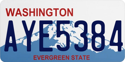 WA license plate AYE5384