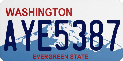 WA license plate AYE5387