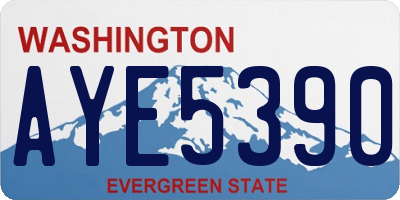 WA license plate AYE5390