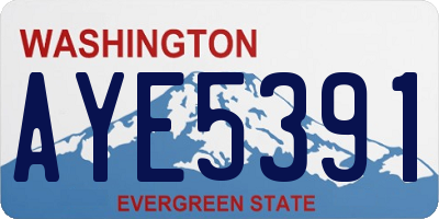 WA license plate AYE5391