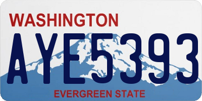 WA license plate AYE5393