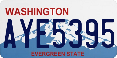 WA license plate AYE5395