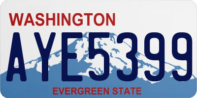 WA license plate AYE5399