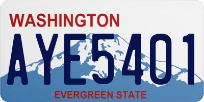 WA license plate AYE5401