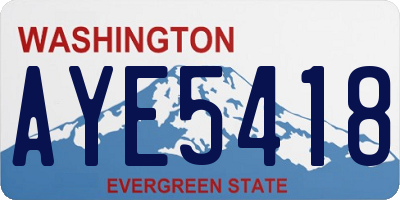 WA license plate AYE5418