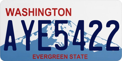 WA license plate AYE5422
