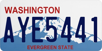WA license plate AYE5441