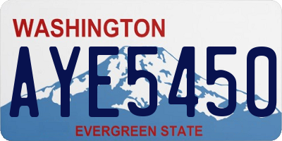 WA license plate AYE5450