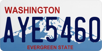 WA license plate AYE5460