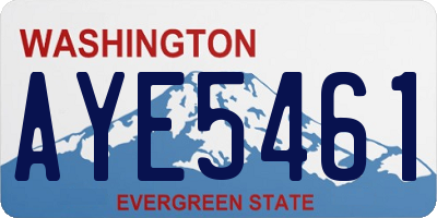 WA license plate AYE5461