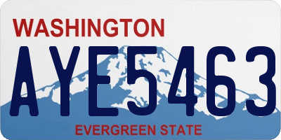 WA license plate AYE5463