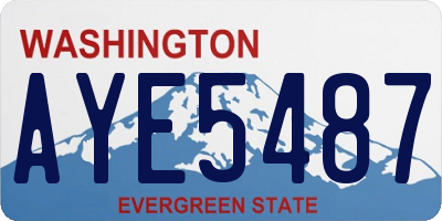 WA license plate AYE5487