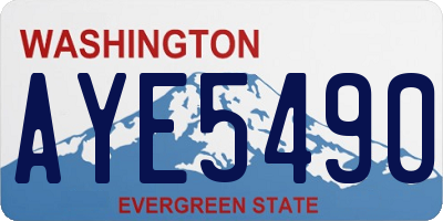 WA license plate AYE5490