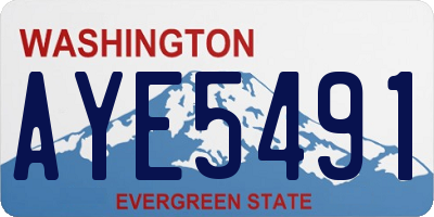 WA license plate AYE5491
