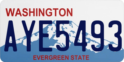 WA license plate AYE5493