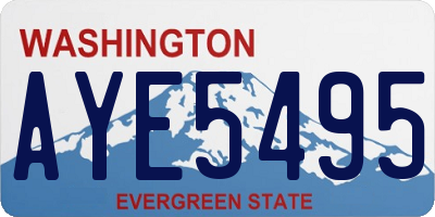 WA license plate AYE5495