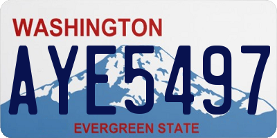 WA license plate AYE5497