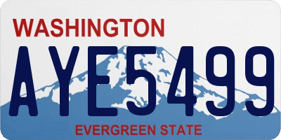 WA license plate AYE5499