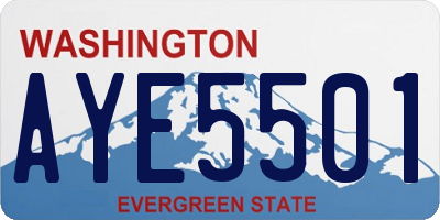 WA license plate AYE5501