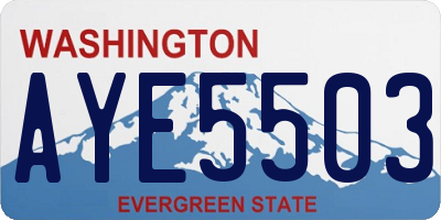 WA license plate AYE5503