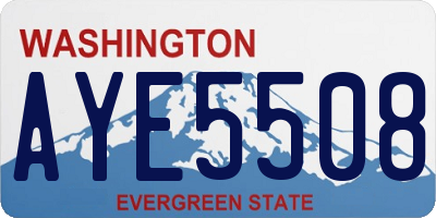 WA license plate AYE5508