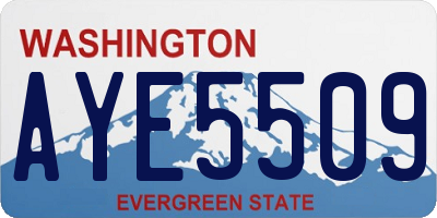 WA license plate AYE5509