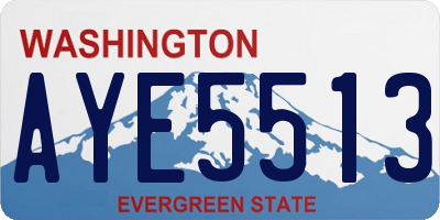 WA license plate AYE5513