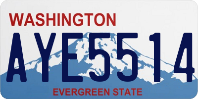 WA license plate AYE5514