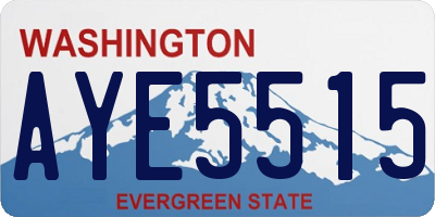 WA license plate AYE5515