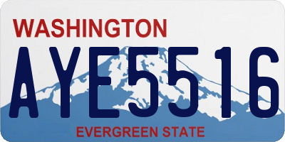 WA license plate AYE5516